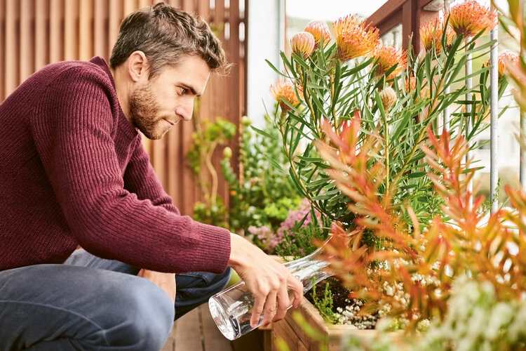 Themenbild Immobilien und Grundstückgewinnsteuer