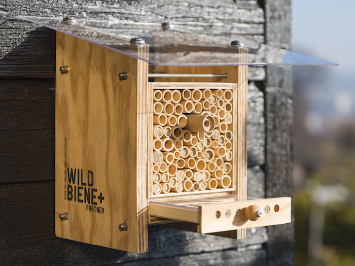 BeeHome, Modell Observer von Wildbiene + Partner