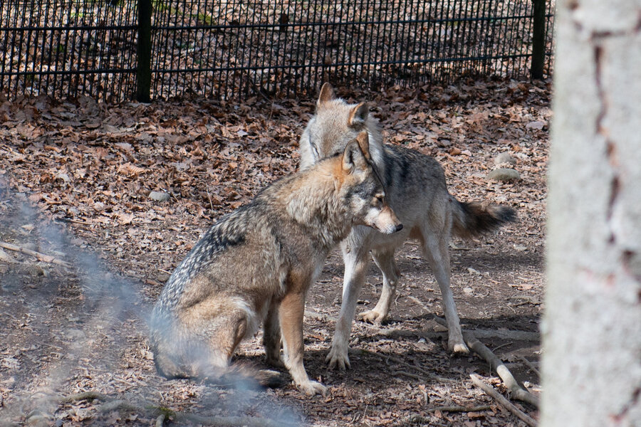 Wildnispark Zürich